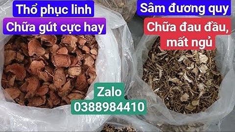 Tác dụng của củ khúc khắc (thổ phục linh), sâm đương quy, gừng đen (ngải đen), nấm linh chi đỏ