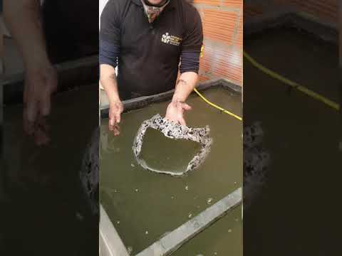 La HIDROGRAFIA💧 una