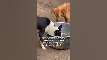 Please help us if you can Gofundme link in bio