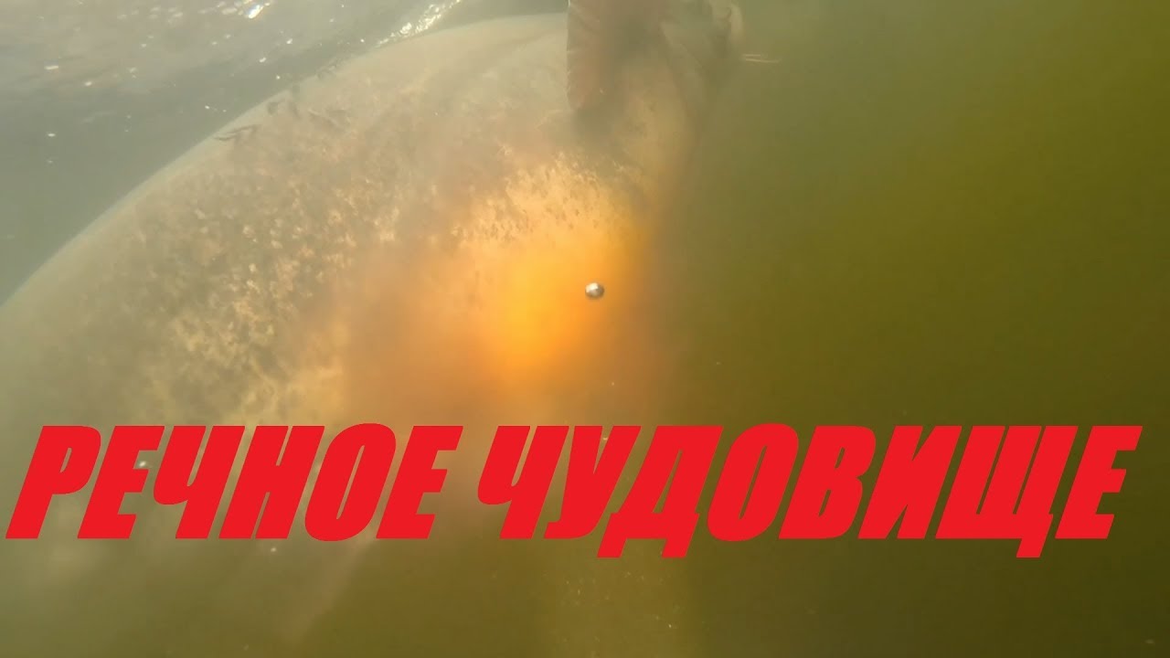 ОПАСНО!Подводная ОХОТА НА РЕЧНОГО МОНСТРА!Сом больше человека!2019