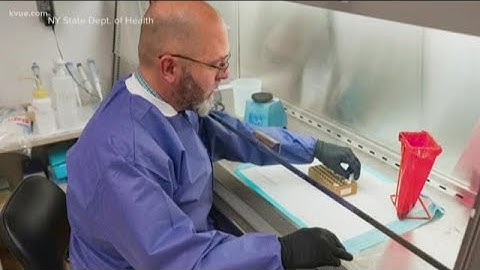 Austin mayor talks latest COVID-19 updates on KVUE Daybreak | KVUE