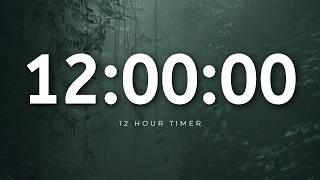 11 Hour 59 Minute 59 Second Count-Up Timer! Start your Session Now! #12hours