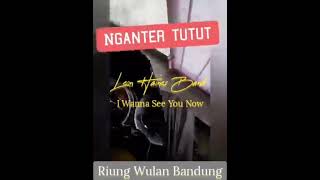 Leon Haines Band - I Wanna See You Now Cover Riung Bandung