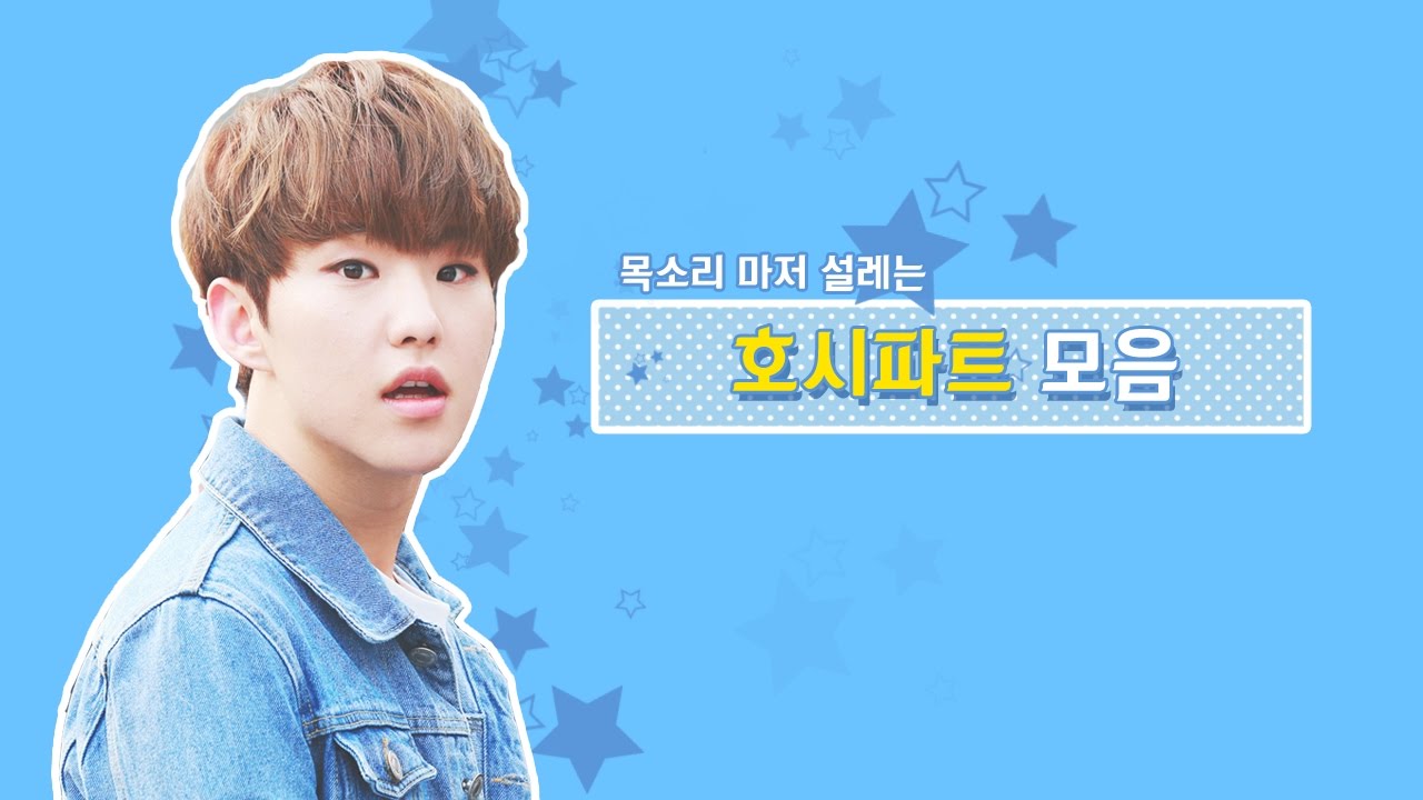 [세븐틴/호시] 호시 파트 모음♬