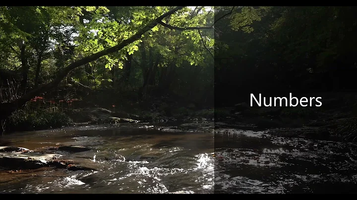 The Book of Numbers - New King James Version (NKJV) - Audio Bible