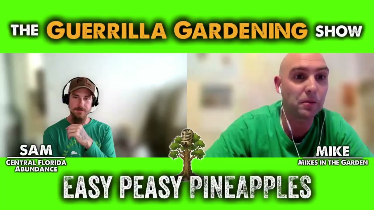 The Guerrilla Gardening Show Ep #6 Pineapples and Propagation