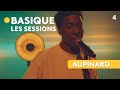 Aupinard  basique les sessions