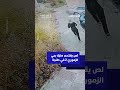 لص يقتحم منزلا بحي الزموري 2 في طنجة