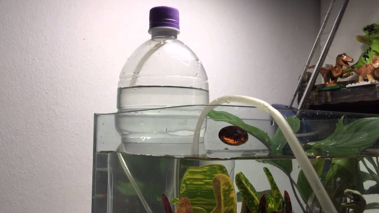 Vacuum Suspended Inverted Fish Tank - Youtube