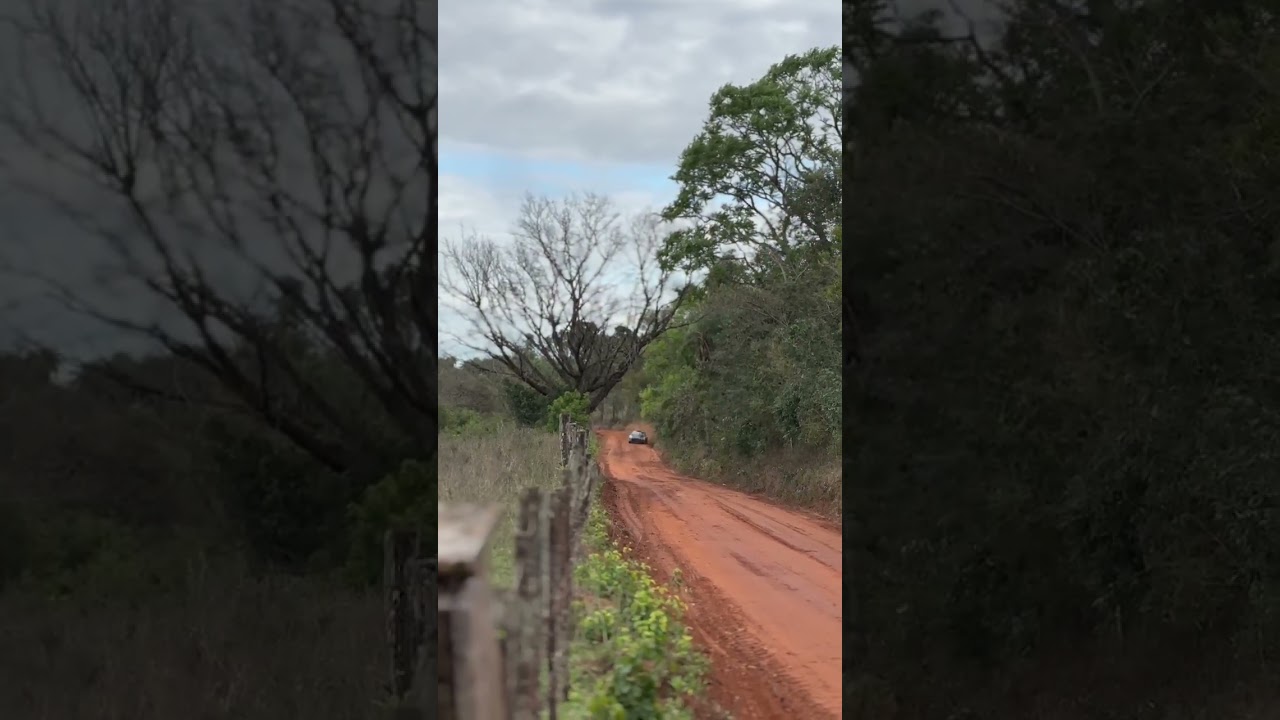 Sunday test Ueno rally del Paraguay 2025,