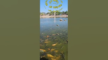 Hồ Thủy Liêm, tại  thiên Cấm Sơn, xã An Hảo, Thị xã Tịnh Biên, tỉnh An Giang