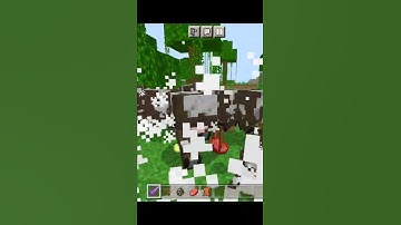 Top 3 Add-on for MCPE | MCPE to Java Converter Add-on | 1.18+ | #shorts