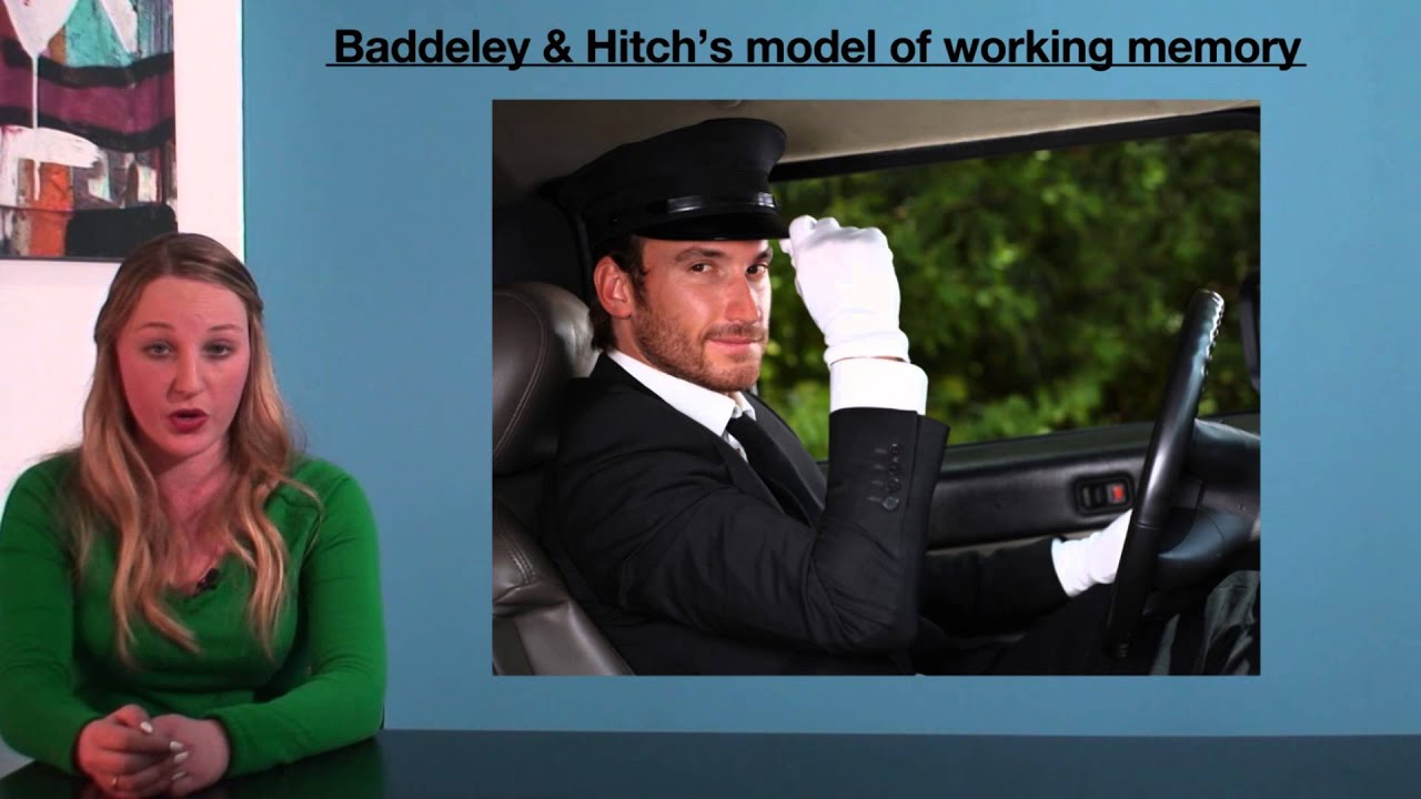 VCE Psychology - Baddeley & Hitch's Model of Working Memory