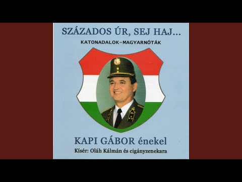 Marosmenti fenyveserdő aljában