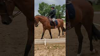 On Fire at PVRA USAWE Show 6/1/25 - L4 Dressage