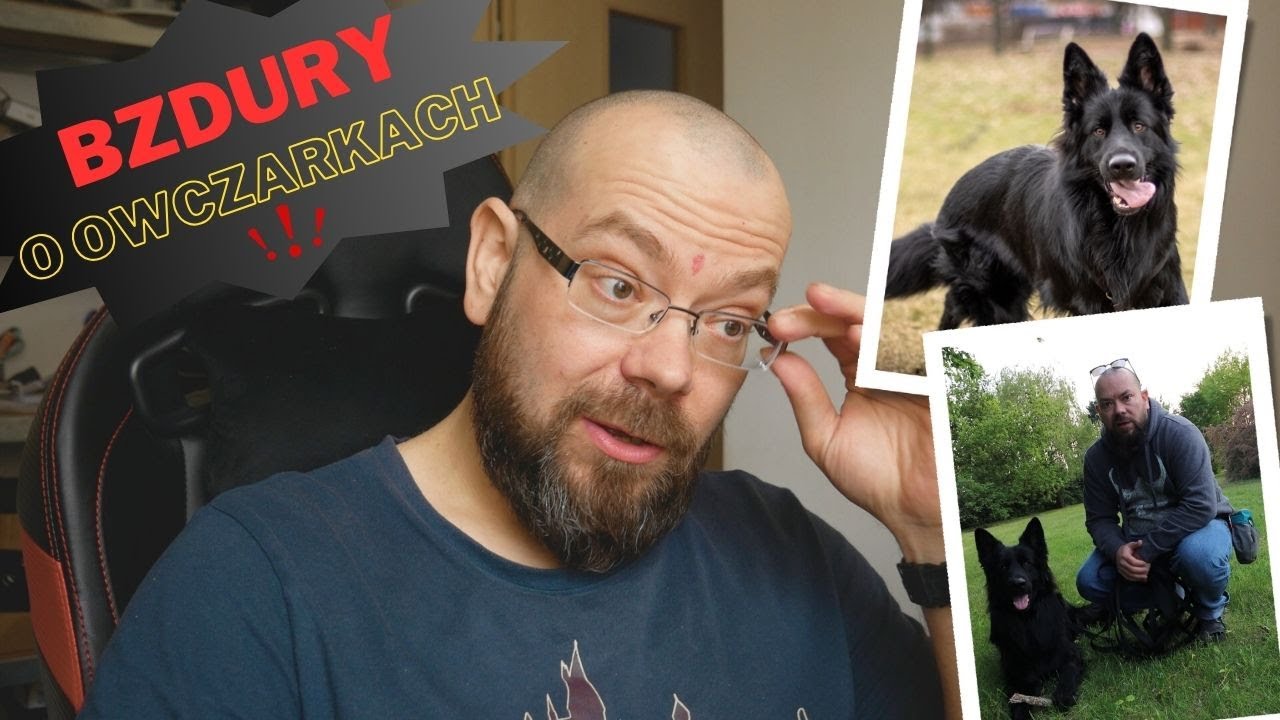 Owczarek NA PEWNO nie jest dla KAŻDEGO! - YouTube