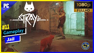 Part 11 Stray 2022 Chapter 11 JAIL Gameplay Walkthrough No Commentary