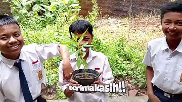 tutorial menanam bunga, tugas membuat vlog,mapel informatika 