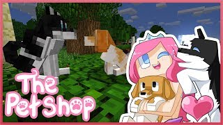 THE PET SHOP! Ep.1 The Two Stray Dogs | Minecraft ROLEPLAY