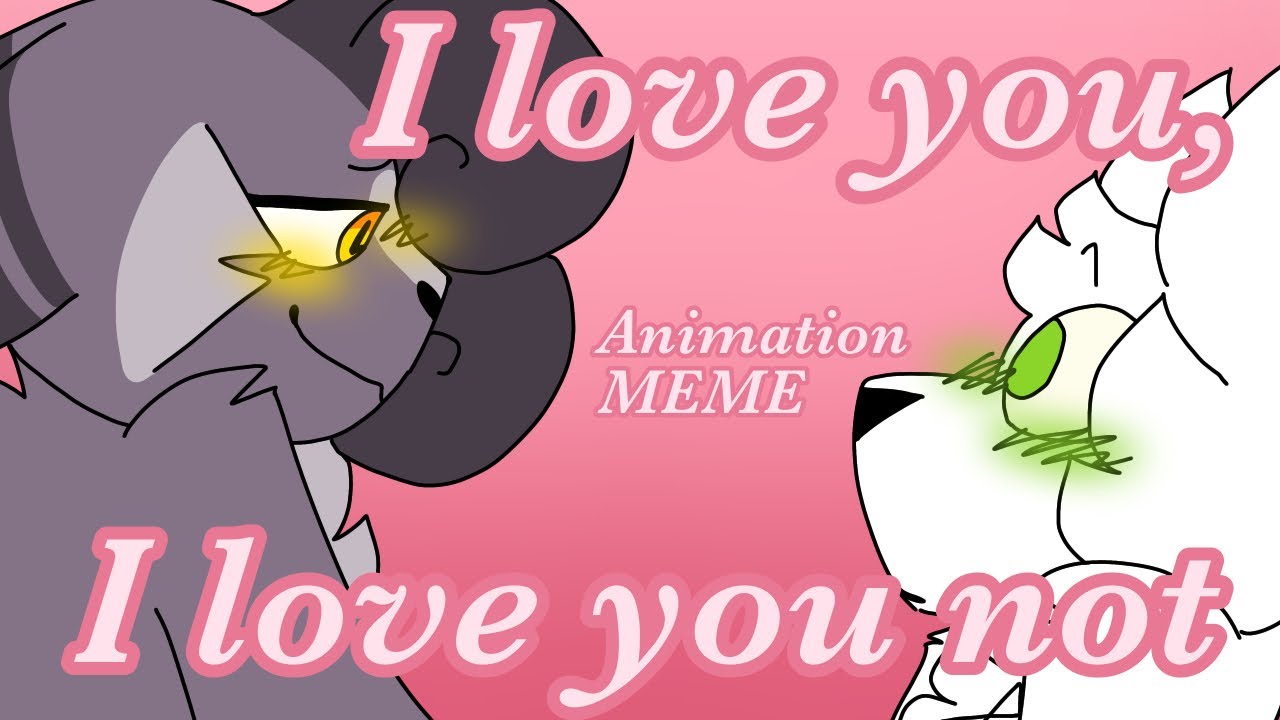 I Love You, I Love You Not MEME Levi & Chester YouTube