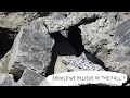 Should we believe in the Fall?