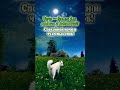 НОЧЬ ВРЕМЯ ДЛЯ ОТДЫХА и МЕЧТАНИЙ!