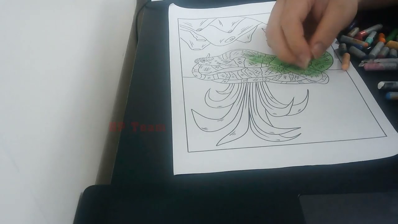 Color The Picture Of A Snake Coiled In The Thick Grass, Basking In The Sun 7 - Pause