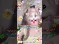 âïžà«®ê°â I'm a picky eater okay !!ð· ê±ðªœâ§âË ð§©â
ðð¡ð© â§âËâ. ð§ð Ë â
Ë.ðšð§§ âð ð§§ð®.Ëâð€#cutecore#fypã·#foryoupage