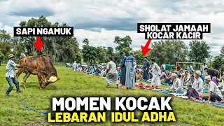 Sumpah Bikin Sakit Perut! Deretan Momen Lucu Saat Hari Raya Qurban Idul Adha