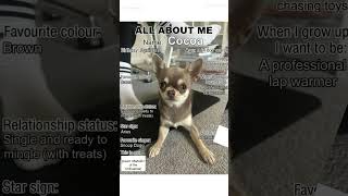 Ai Did Pretty Good Tbh