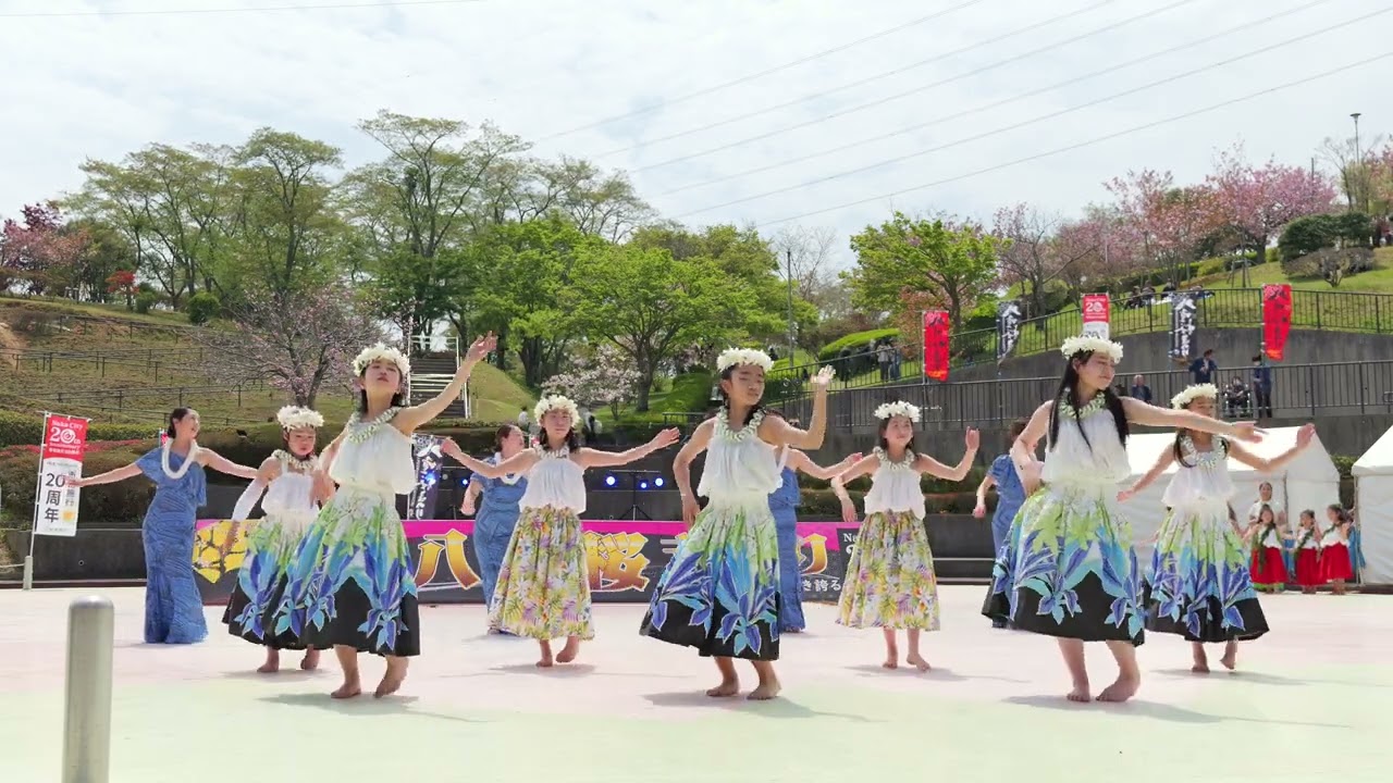 貴重　ハローフーラ　ちゅうぶらんこ COLEDO室町テラス | My Site 1