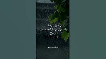 اكتب اي شيء تؤجر عليه | سورة مريم | ياسر الدوسري | كرومات قران كريم شاشة سوداء بصوت جميل وخاشع