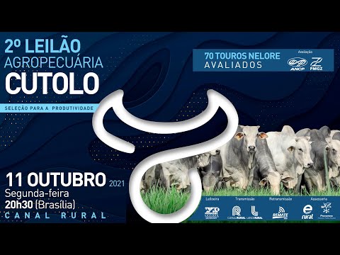 LOTE 15