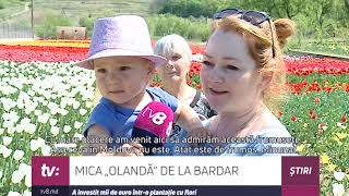 MICA „OLANDĂ” DE LA BARDAR  A investit mii de euro într-o plantație cu flori