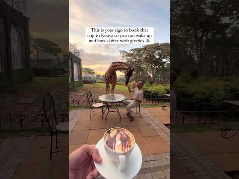 BREAKFAST WITH GIRAFFES!