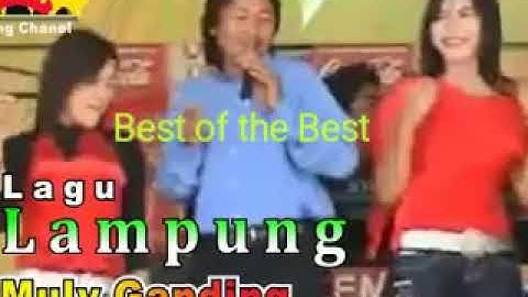 Muli Ganding Lagu Lampung