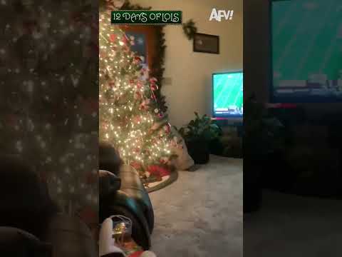 Virtual reality meets Christmas tree 🎄 #shorts #12DaysofLols #afv #funny #Christmas #holiday #fail