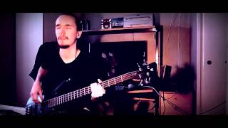 Apache Rose Peacock - Red Hot Chili Peppers - Bass Cover