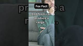 What Sounds Do Foxes Make? Find Out with a Fox Fact! #curiosity #animals #deepthoughts Wealth