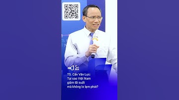 TS Cấn Văn Lực tại sao Việt Nam giảm lãi suất mà không lo lạm phát