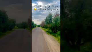 جولة موطور هادئة🏍️🌿 Relaxing Motorcycle Ride nature road vibes #motorcycle #ride #peace #mountains