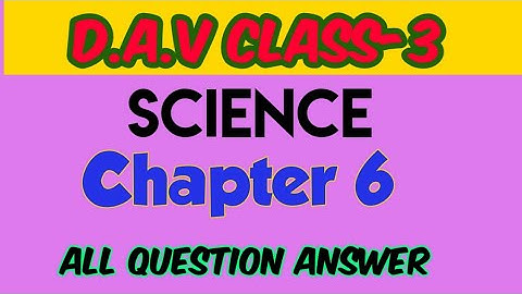DAV CLASS 3 SOCIAL SCIENCE CHAPTER 6 LEARNING ABOUT WORKS||QUESTION ANSWER ||ARPITA KAUSHIK 31