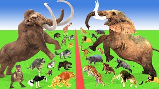 Prehistoric vs Modern Mammals Size Comparison Animals Epic Battle Animal Revolt Battle Simulator