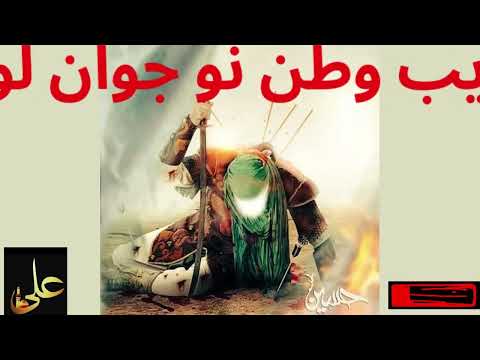 Eik Gareebul Watan Nau Jawan Lut Gaya Haji Janab Asghar Bhai Jawriya Wala Noha Marsiya