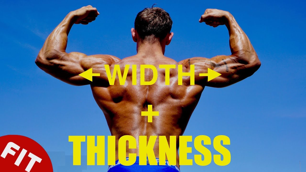bigger back at home TWO STEP PLAN FOR YOUR PERFECT BACK