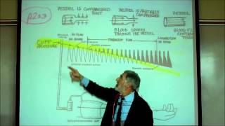 CARDIAC PHYSIOLOGY; PART 4 by Professor Fink.wmv