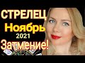 СТРЕЛЕЦ НОЯБРЬ 2021🔴ЛУННОЕ ЗАТМЕНИЕ /СТРЕЛЕЦ ТАРО на НОЯБРЬ 2021/ГОРОСКОП на НОЯБРЬ 2021/OLGA STELLA