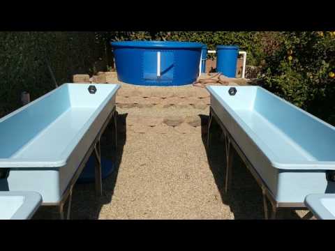 Aquaponics walkthrough