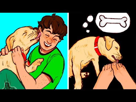 Why Dogs Lick Paws And Other 29 Questions About Dogs