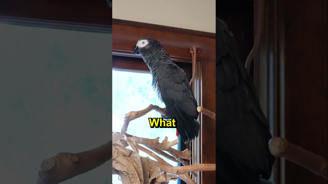 He's So Done with the Bugs 🐛